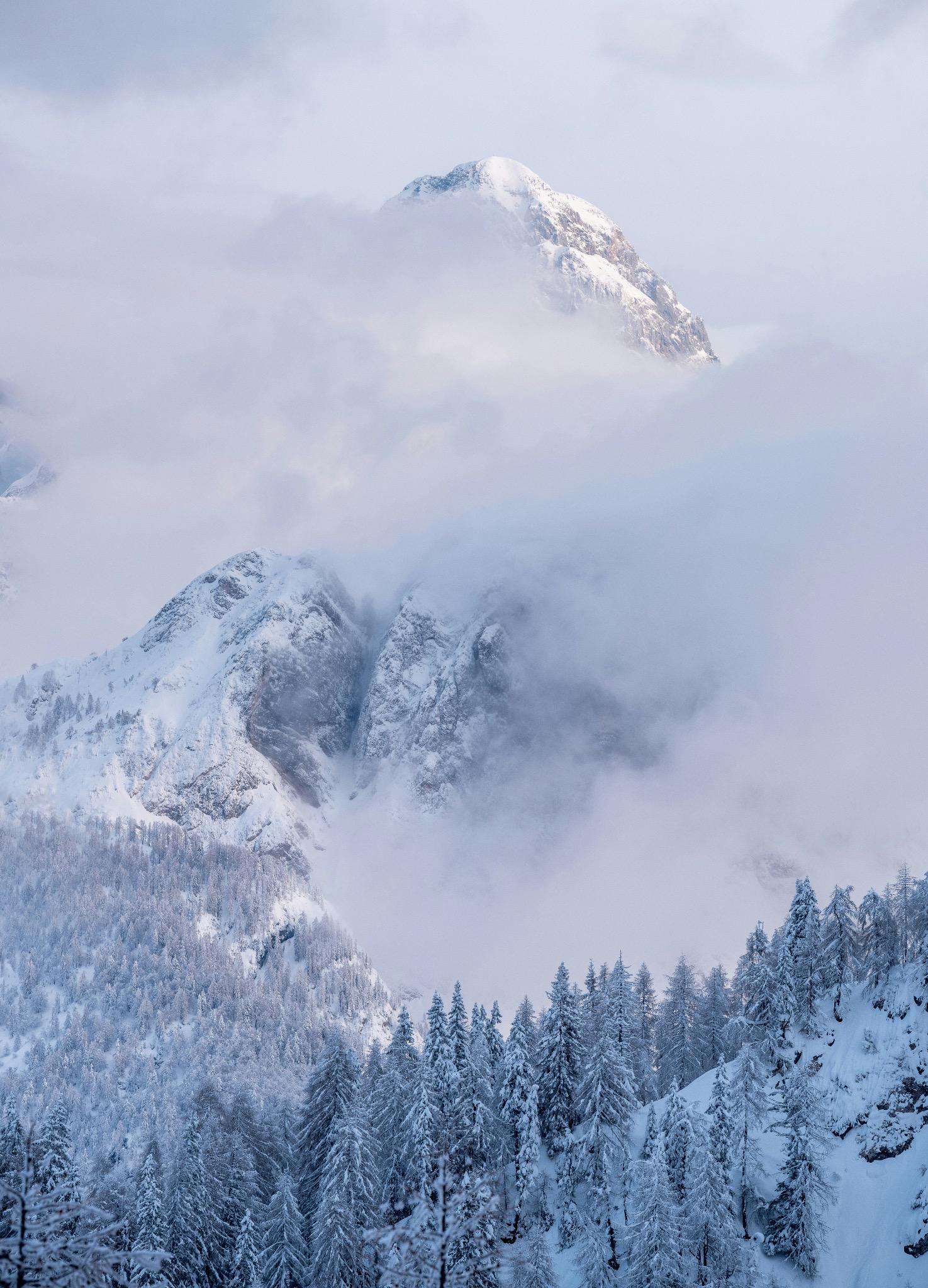 Alpine landscape